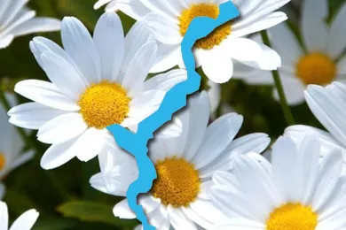 Die ideale Kombination aus Natur, Ruhe und Sonne Eine Bootsfahrt im Frühling auf dem Lago Maggiore