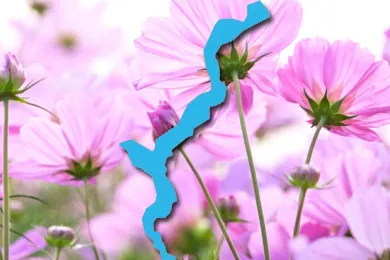 Frühling am Lago Maggiore – Schifffahrt und Natur genießen Blühende Ufer am Lago Maggiore im Frühling