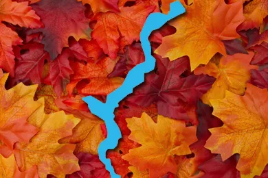 Herbst am Lago Maggiore