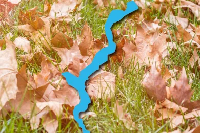 Herbstliche Schifffahrt auf dem Lago Maggiore