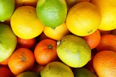 Zitrusfrüchte: ein Schatz der Artenvielfalt Zitrusfrüchte